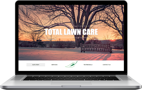 Laptop view of the website